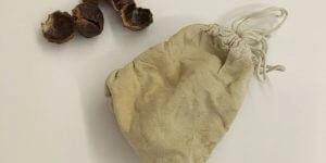 Indische Waschnuss